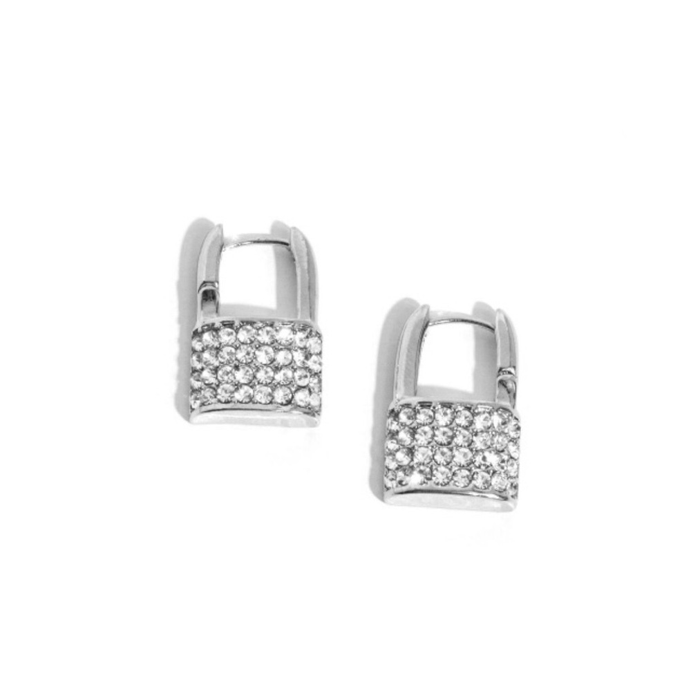 🔓Earrings (Hinge)